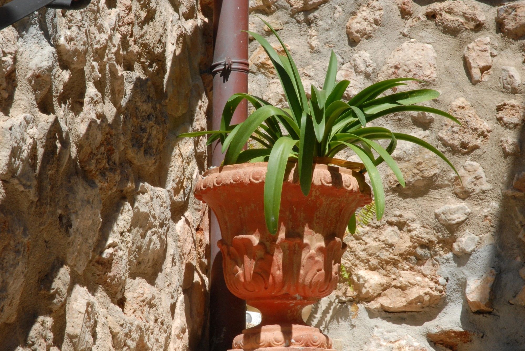 Sa Vall Valldemossa Exterior foto