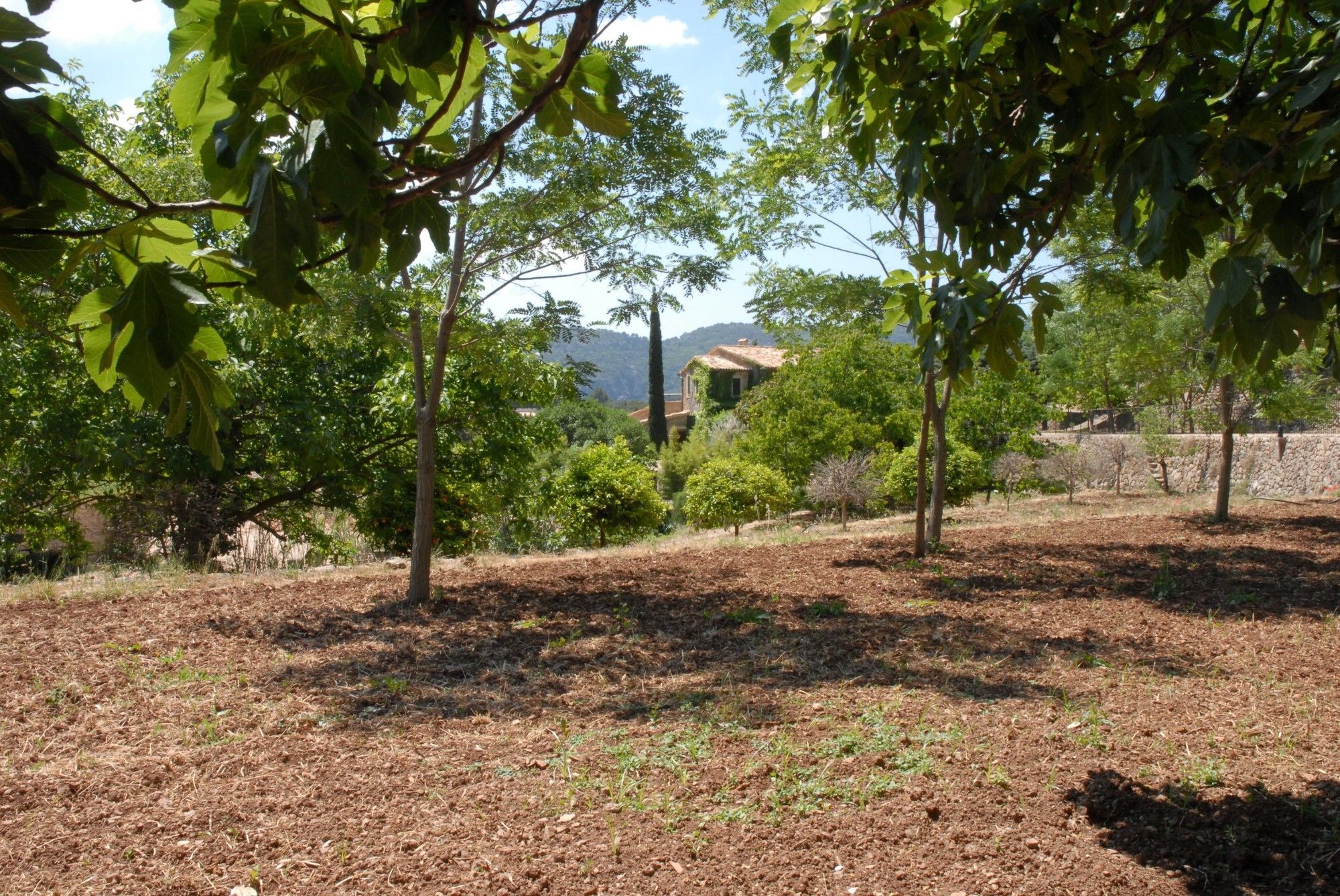 Sa Vall Valldemossa Exterior foto